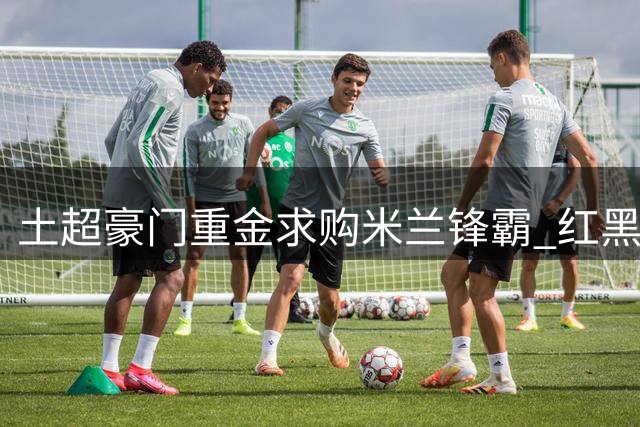土超豪门重金求购米兰锋霸 红黑军团拒租借条款