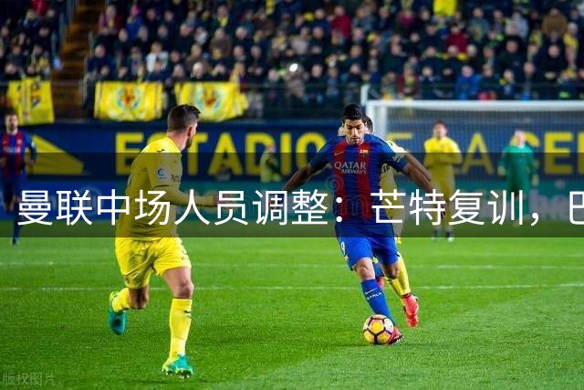 曼联中场人员调整：芒特复训，巴莱巴将搭档蒂勒曼斯