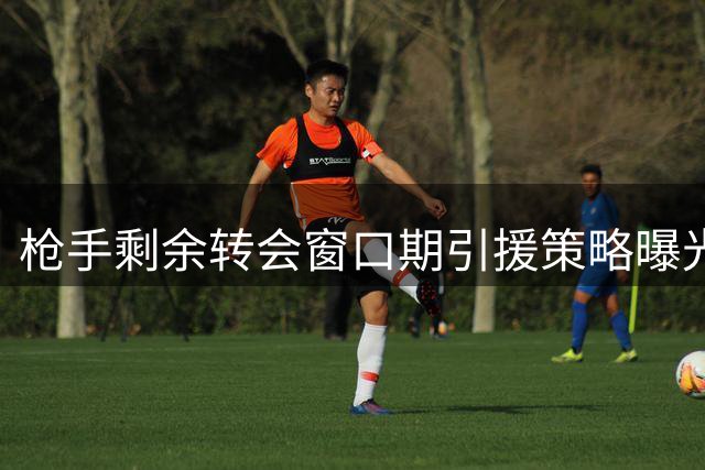 枪手剩余转会窗口期引援策略曝光 左路悍将成关键目标