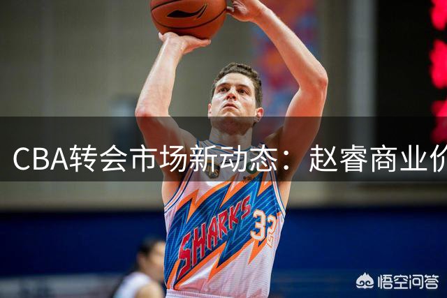 CBA转会市场新动态：赵睿商业价值飙升，广东队瞄准国手前锋